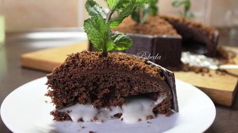 шоколадно-мятный торт