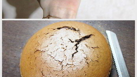 шоколадно-мятный торт