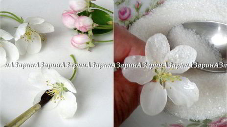 торт дивный сад