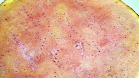 торт клубника на дереве