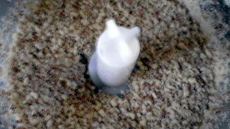 яблочный торт с карамельным баварским муссом