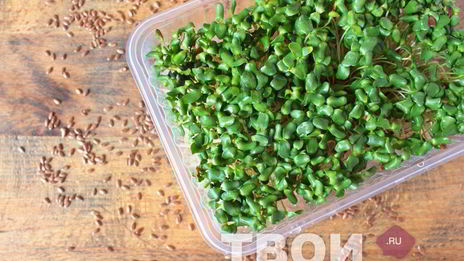 хрустящие вафли