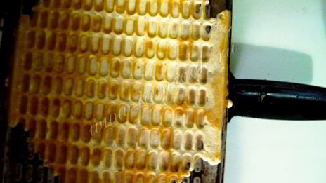 вафельные трубочки с вареной сгущенкой и орехами