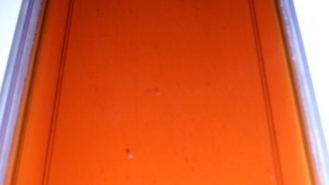 мини-торт из мокко-профитролей со сливочным кремом, кофейным муссом и белым шоколадом