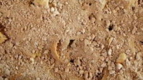 французская запеканка