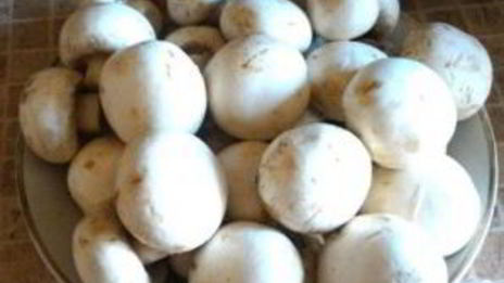 картофельная запеканка с шампиньонами