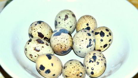 мясная запеканка с грибами и перепелиными яйцами под сливочно-томатным соусом