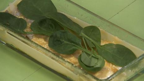 запеканка с судаком и шпинатом