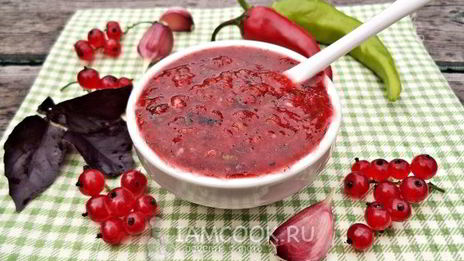 аджика из красной смородины