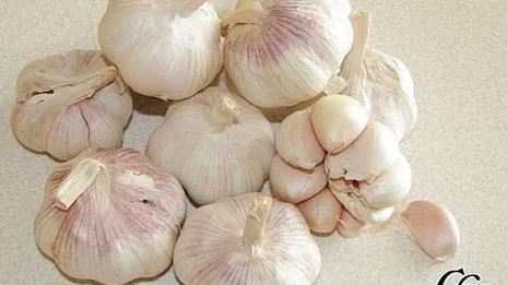 аджика с помидорами