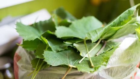 долма на зиму