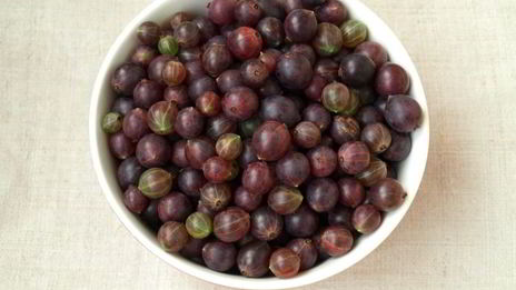 джем из красного крыжовника