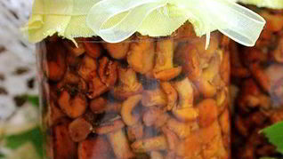 Грибы в мультиварке на зиму