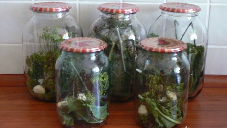 хрустящие огурцы