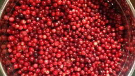 компот из брусники на зиму