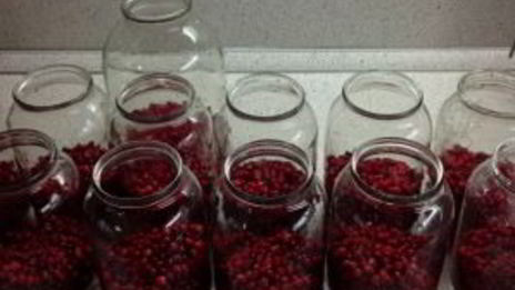 компот из брусники на зиму