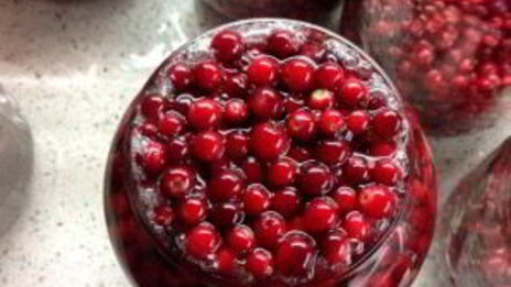 компот из брусники на зиму