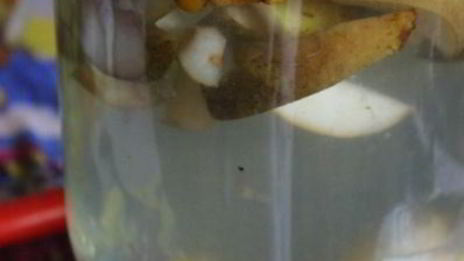 компот из груш и облепихи на зиму