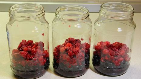 компот из ирги и малины на зиму