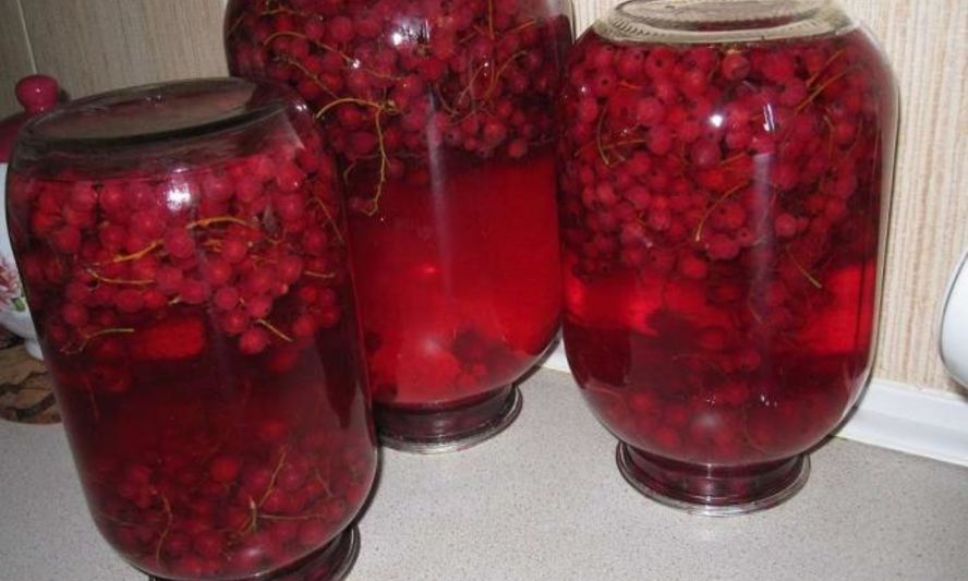 Рецепт компот из красной смородины на зиму