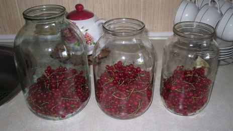компот из красной смородины на зиму