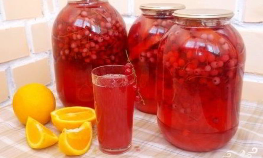 Рецепт компот из красной смородины с апельсином