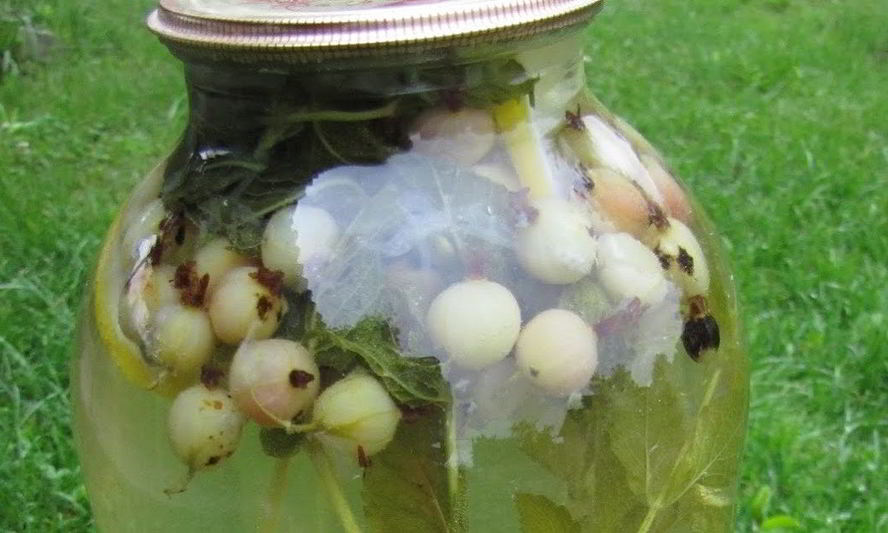 Рецепт компот из крыжовника мохито