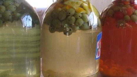 компот из крыжовника мохито