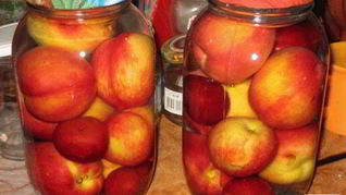 Компот из нектаринов