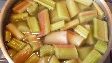 компот из ревеня