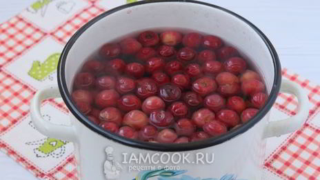 компот из вишни и черешни
