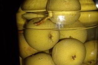 Компот Проводница