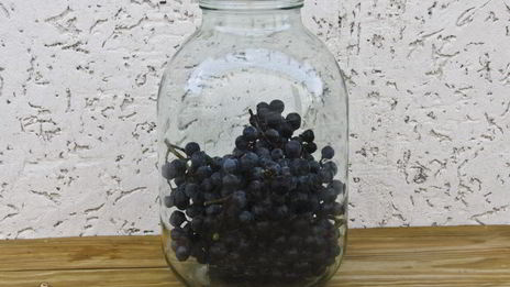 виноградный компот с мятой на зиму