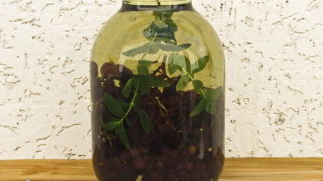 виноградный компот с мятой на зиму