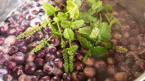 виноградный компот с мятой