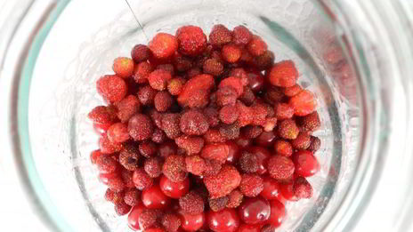 вишнево-клубничный компот с мятой на зиму