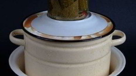 квашеная капуста