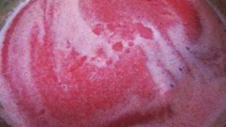 лечо пальчики оближешь