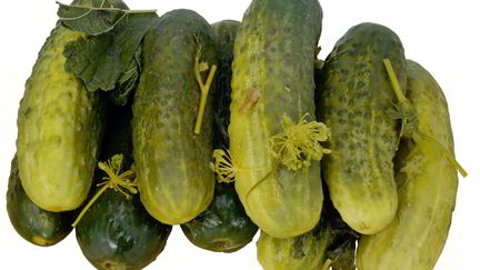 Маринованные огурцы