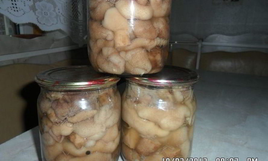 Рецепт грибочки маринованные