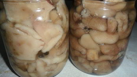 грибочки маринованные