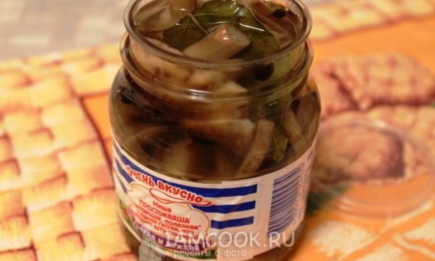Рецепт маринование опят без стерилизации на зиму