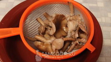 маринование опят без стерилизации на зиму