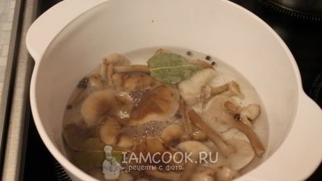 маринование опят без стерилизации на зиму