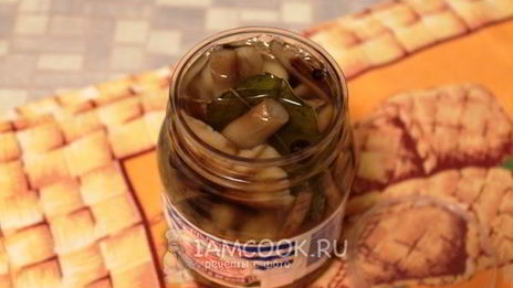 маринование опят без стерилизации на зиму