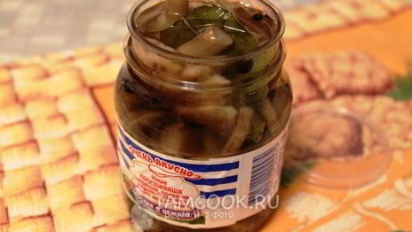 маринование опят без стерилизации на зиму