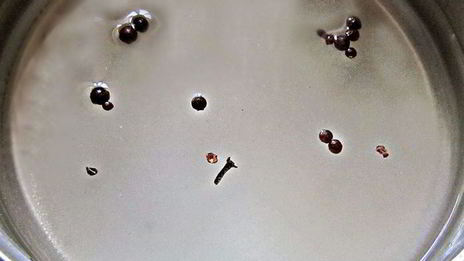 маринованная красная капуста