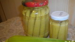 Маринованная кукуруза на зиму