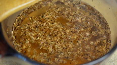 маринованная морковь