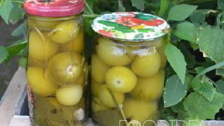 Маринованный физалис